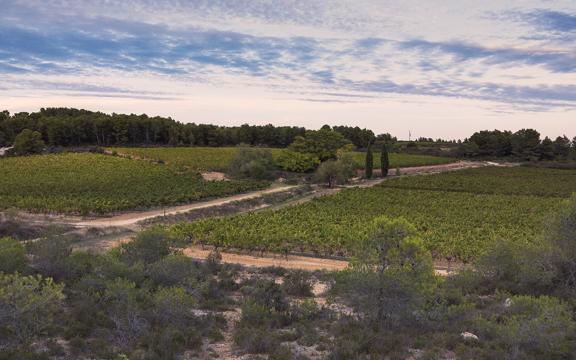 10 Best Things to Do in the Clare Valley