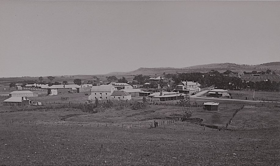 Mintaro Maze