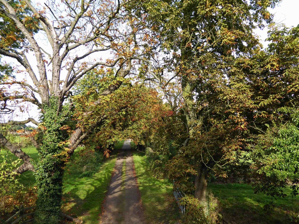 Spring Farm Trail