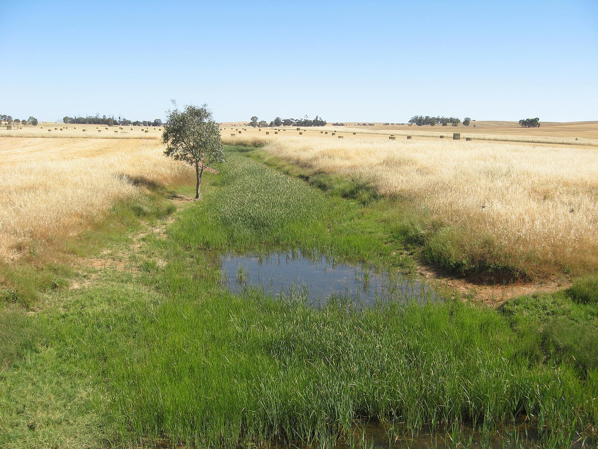 Hill River
