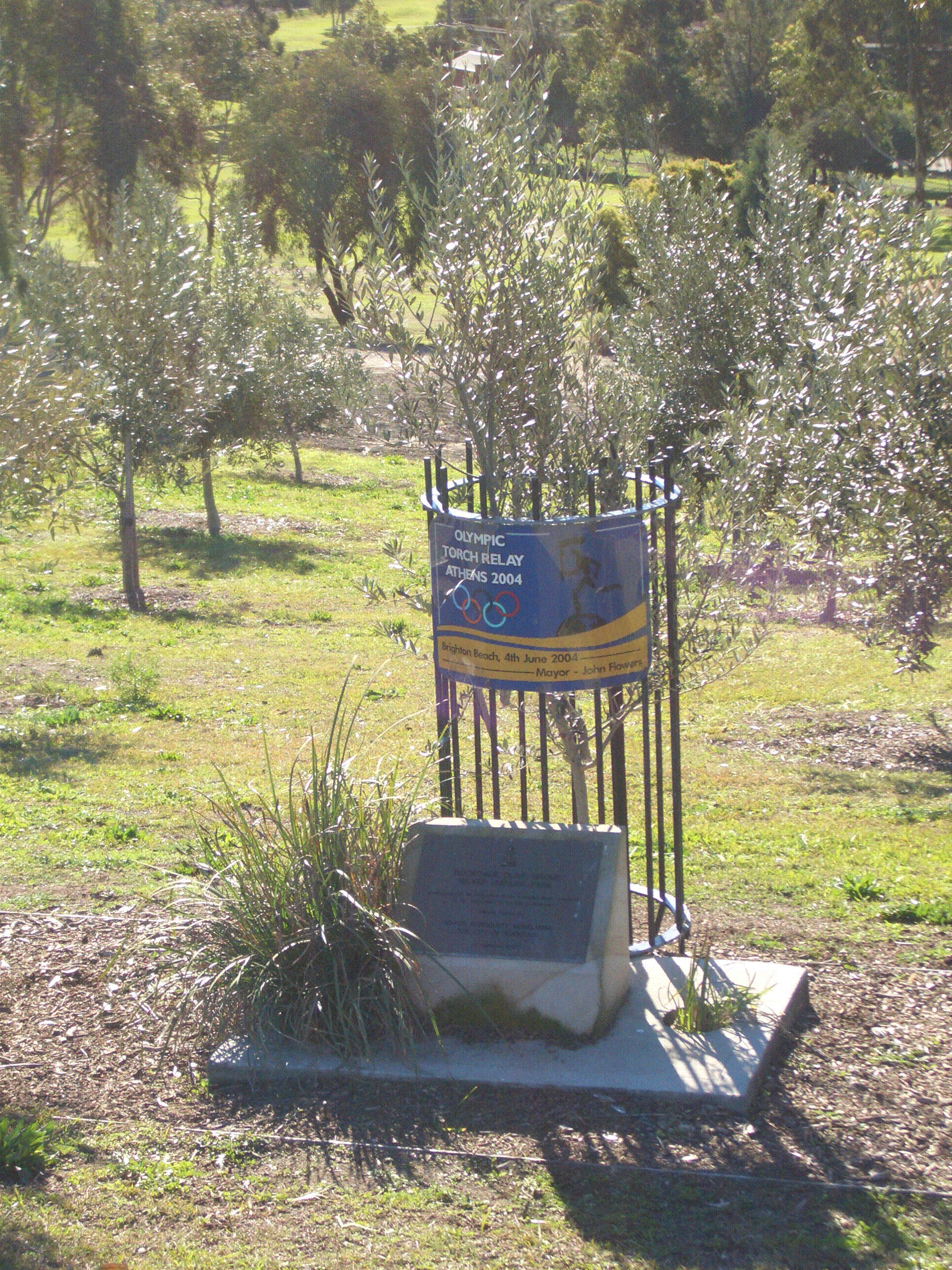 Clare Valley Olive Co