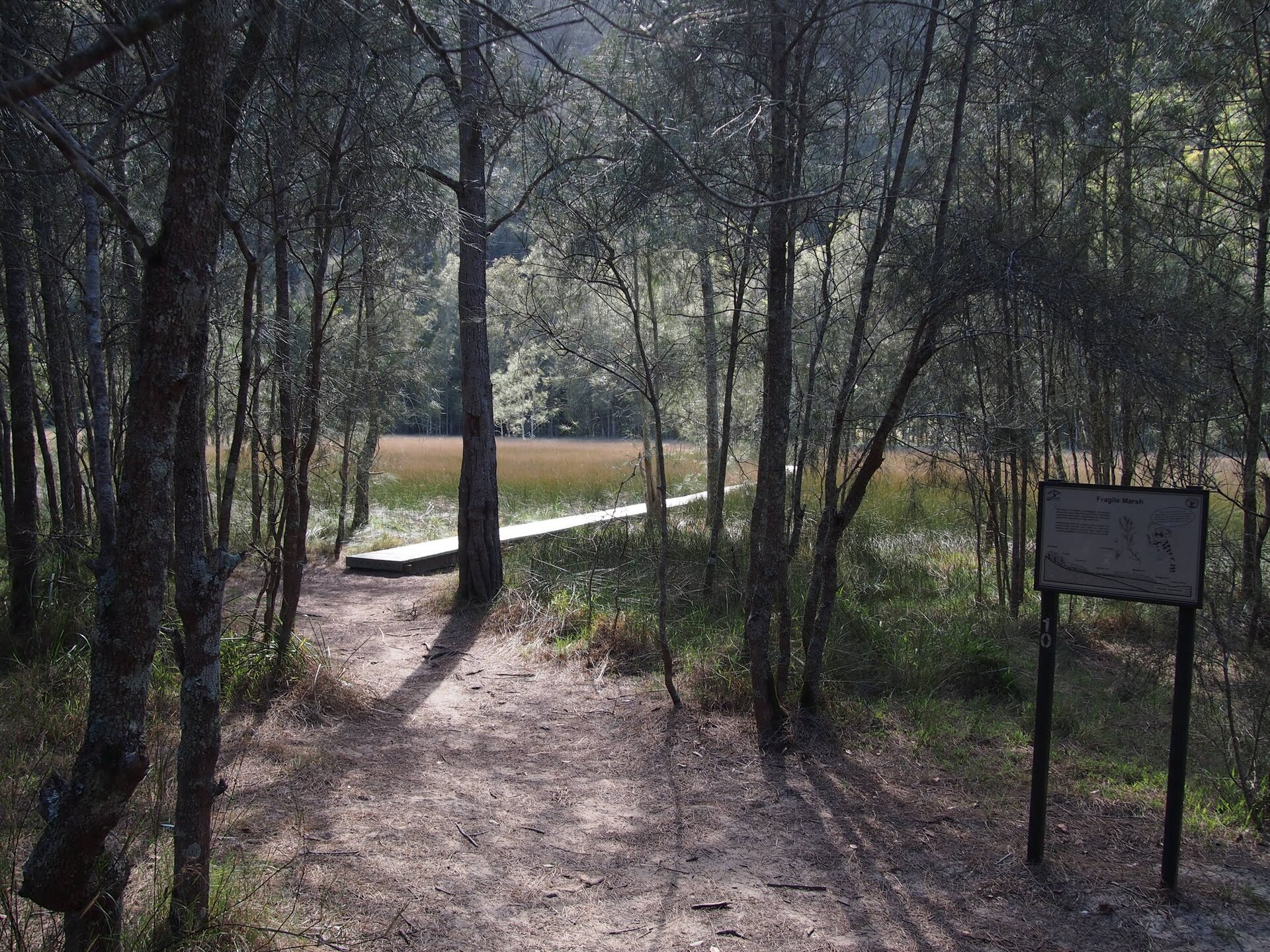 Gleeson Wetlands