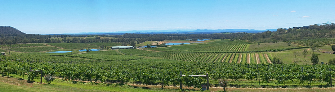Watervale Lookout