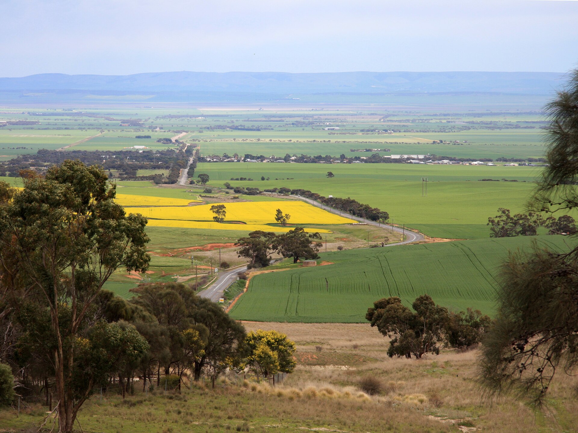 Brooks Lookout