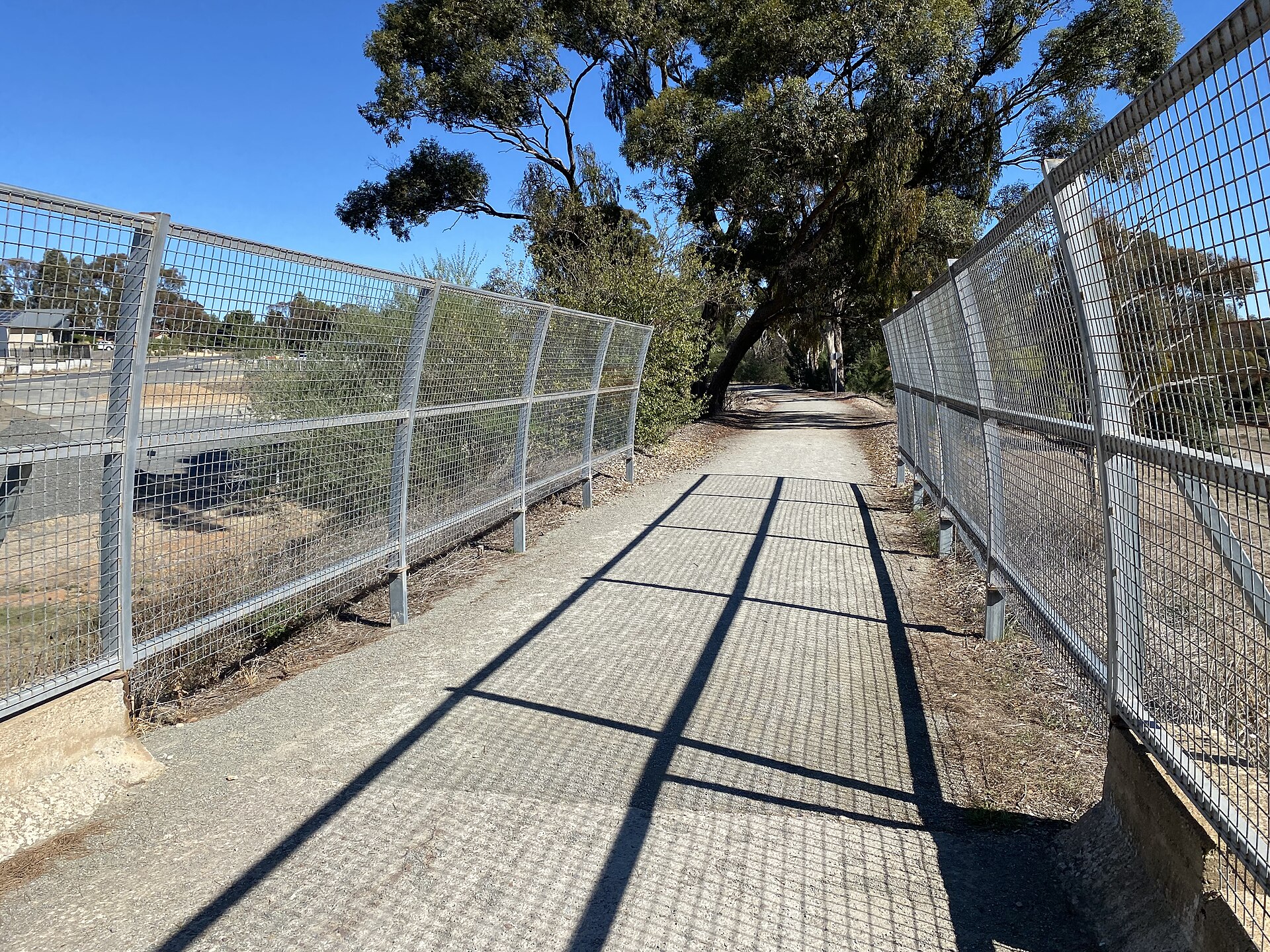Cycling the Riesling Trail
