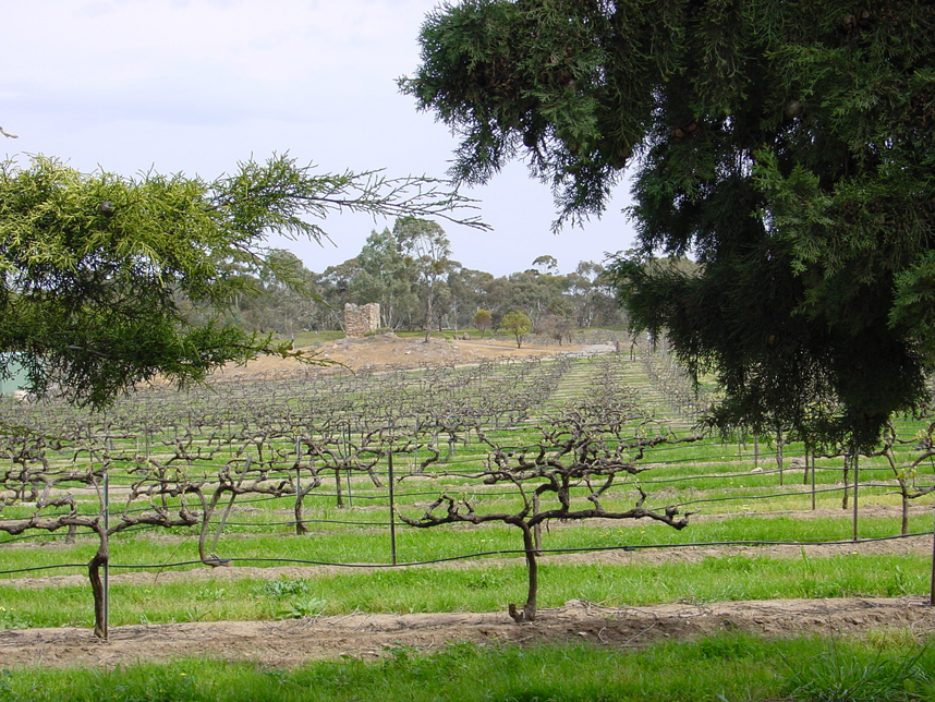 A weekend in the Clare Valley